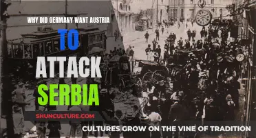 Germany's Motives Behind Austria-Serbia Conflict