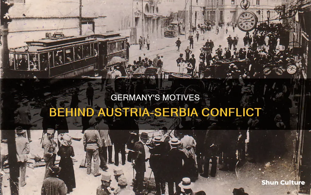 why did germany want austria to attack serbia