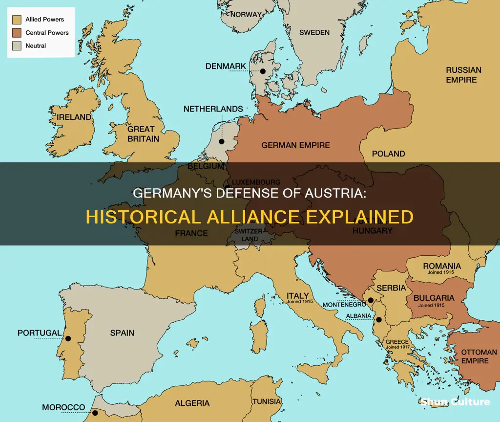 why did germany want to protect austria