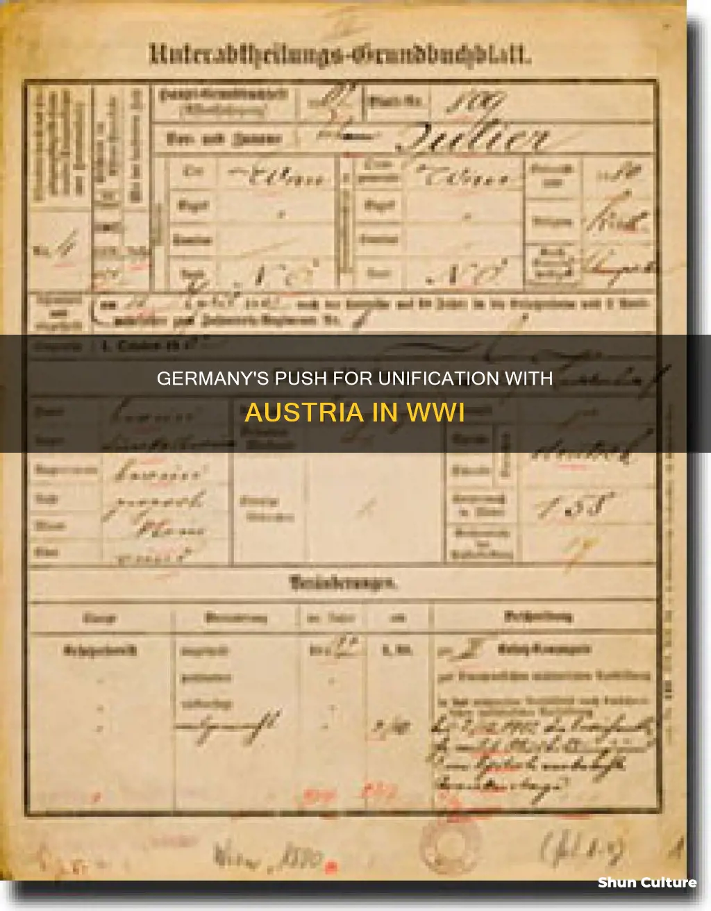 why did germany want to unify with austria in wwi