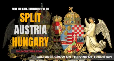 Britain's Belief: Divide and Conquer Austria-Hungary