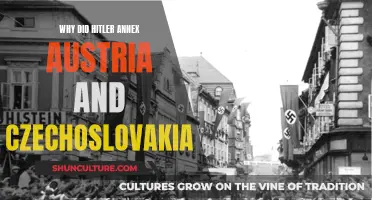 Hitler's Annexation of Austria and Czechoslovakia: Strategic Expansion