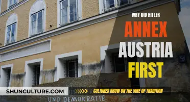 The Strategic Move: Hitler's Austria Annexation Explained