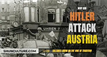 The Strategic Move: Hitler's Austria Invasion Explained