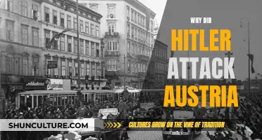 Hitler's Austrian Invasion: Why Did It Happen?