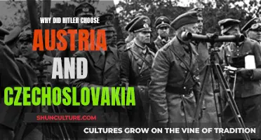 The Strategic Choice: Hitler's Expansionist Plans for Austria and Czechoslovakia