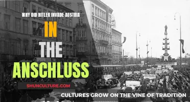 Hitler's Annexation of Austria: Why the Anschluss?