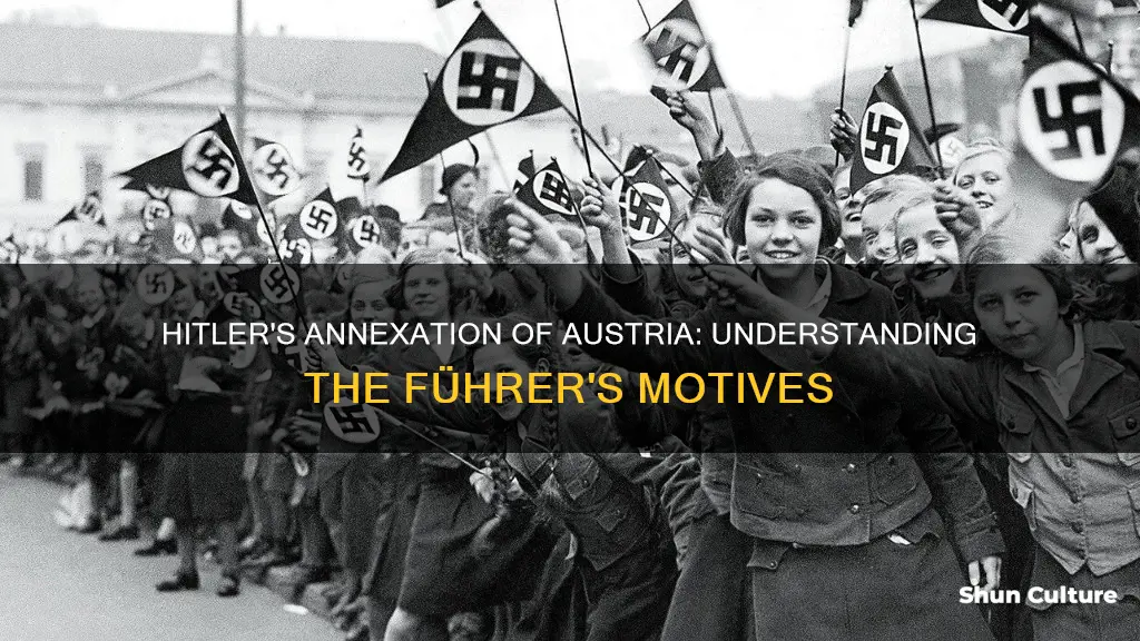 why did hitler occupy austria