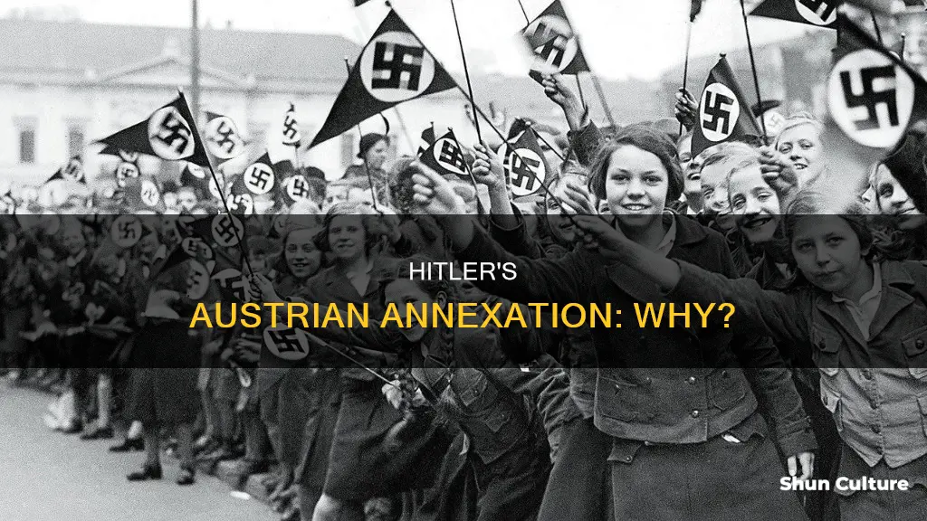 why did hitler seize austria