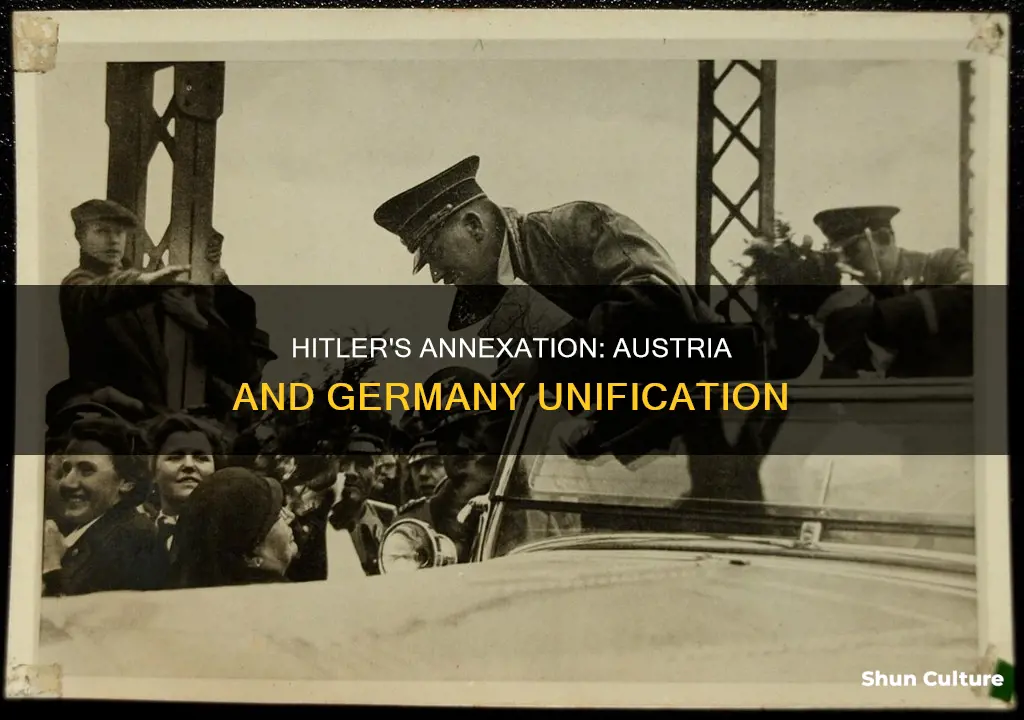 why did hitler unify with austria and germany