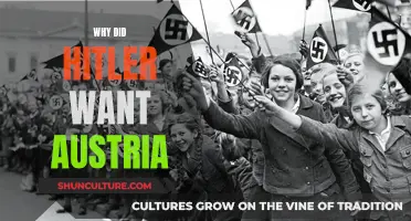 Hitler's Austrian Obsession: Expansionist Vision and Ideology
