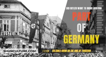 Hitler's Vision: Austria-Germany Unification