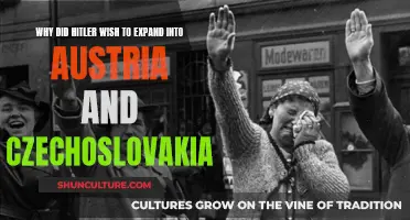 Hitler's Expansionist Dreams: Austria and Czechoslovakia in Focus