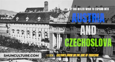 Hitler's Expansionist Ambitions: Austria and Czechoslovakia