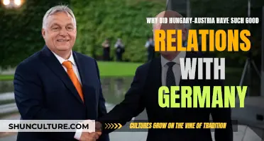 Strong Axis Ties: Hungary, Austria, and Germany's Alliance