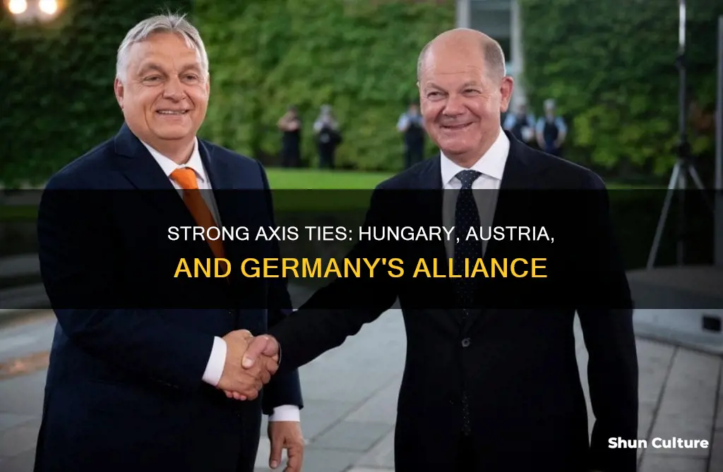 why did hungary-austria have such good relations with germany