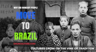 Hungarian Migration to Brazil: Historical Reasons and Cultural Impact