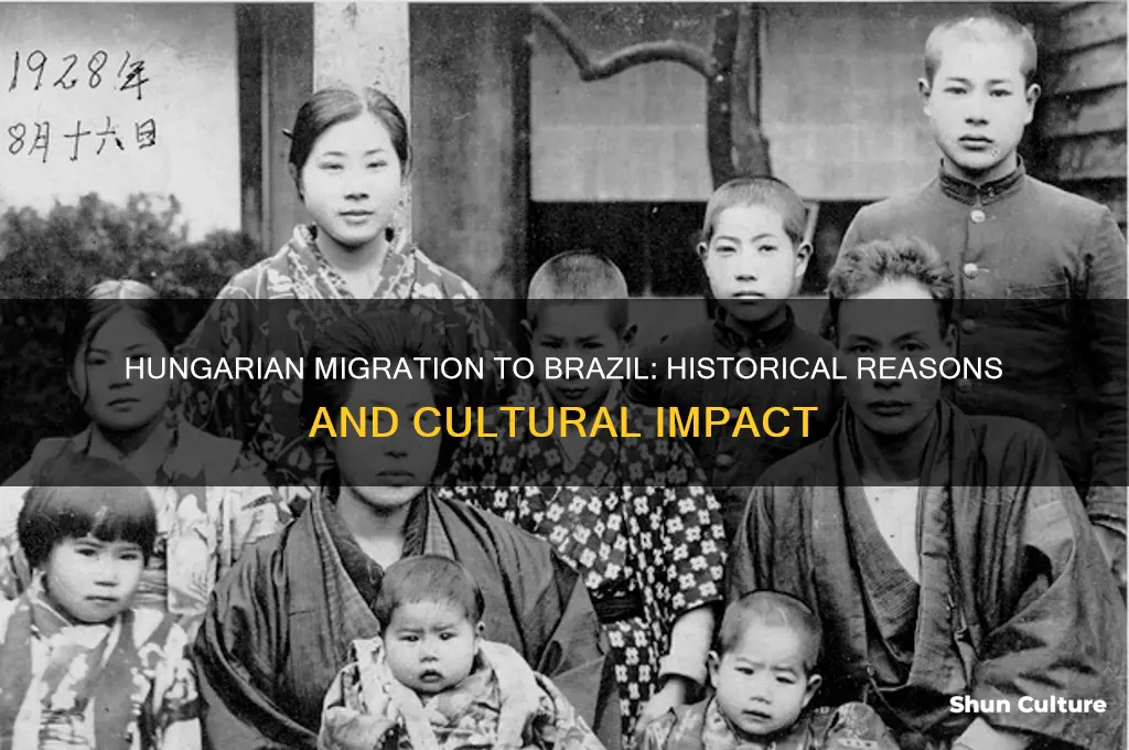 why did hungary people move to brazil