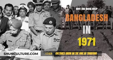 India's 1971 Intervention: Humanitarian Duty or Strategic Move for Bangladesh?