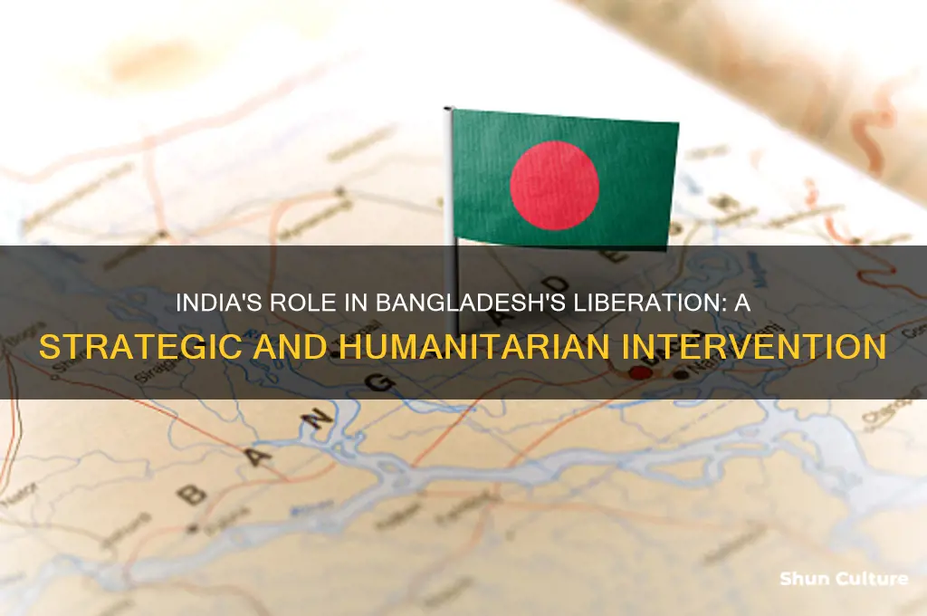 why did india help bangladesh to get independence and how