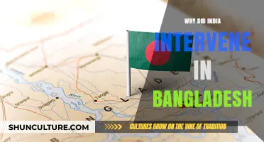 India's Role in Bangladesh's Liberation: A Historical Intervention