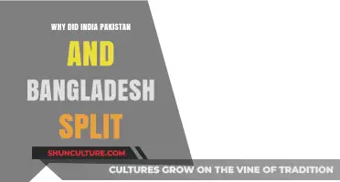 Partition of the Indian Subcontinent: India, Pakistan, and Bangladesh's Split Explained