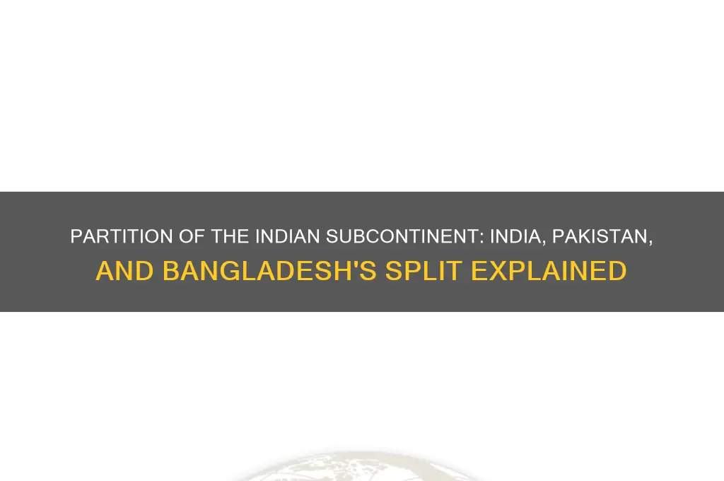 why did india pakistan and bangladesh split