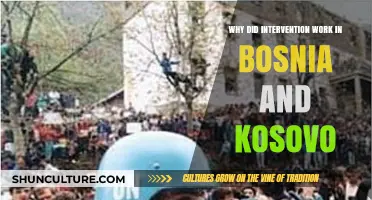 Bosnia and Kosovo: Analyzing the Success of International Intervention