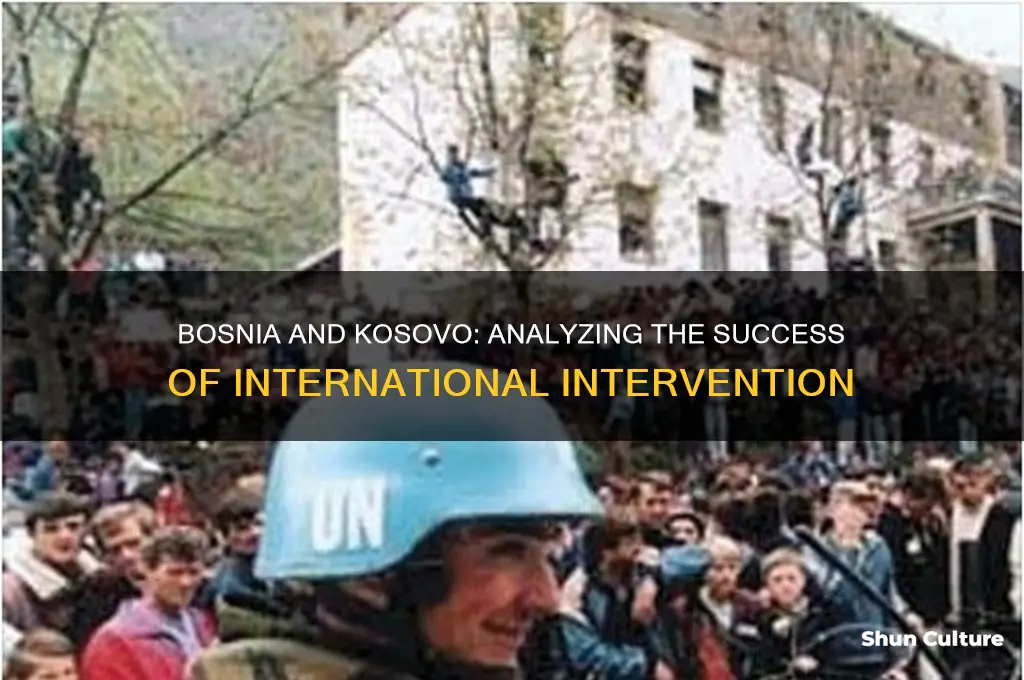 why did intervention work in bosnia and kosovo
