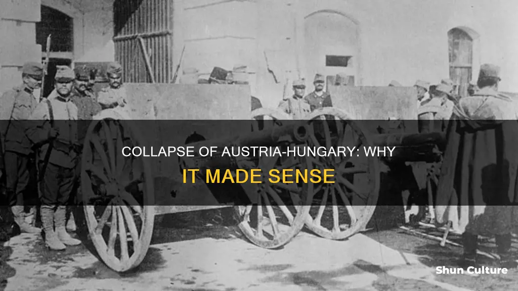 why did it make sense for both austria-hungary