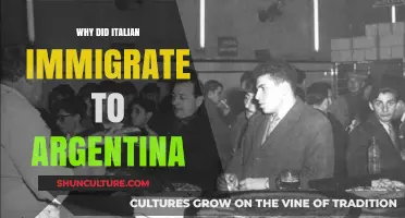 From Italy to Argentina: Unraveling the Reasons Behind the Great Migration