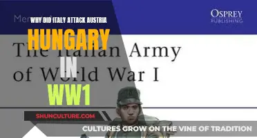 Italy's Attack on Austria-Hungary: WW1 Origins