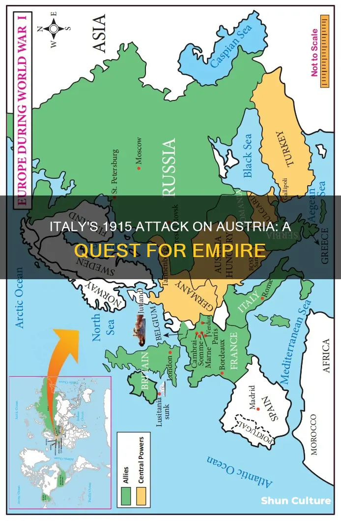 why did italy attack austria in 1915