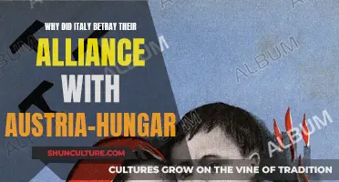 Italy's Betrayal: Why Austria-Hungary Was Abandoned