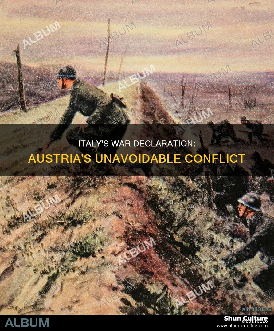 why did italy declare war on austria