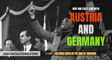 Italy's Alliance: Why Austria and Germany?