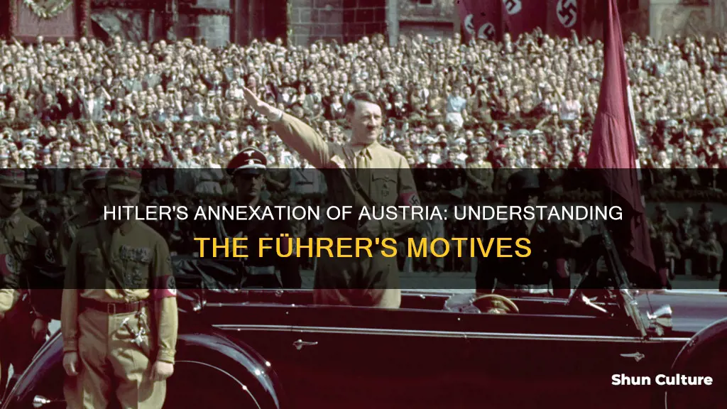 why did itler take over austria