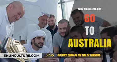 Khabib's Australia Absence: Visa Issues and UFC Plans Explained