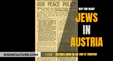 Austria's Jewish Exodus: Why Did They Leave?