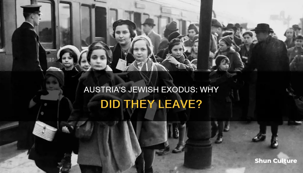 why did many jews in austria