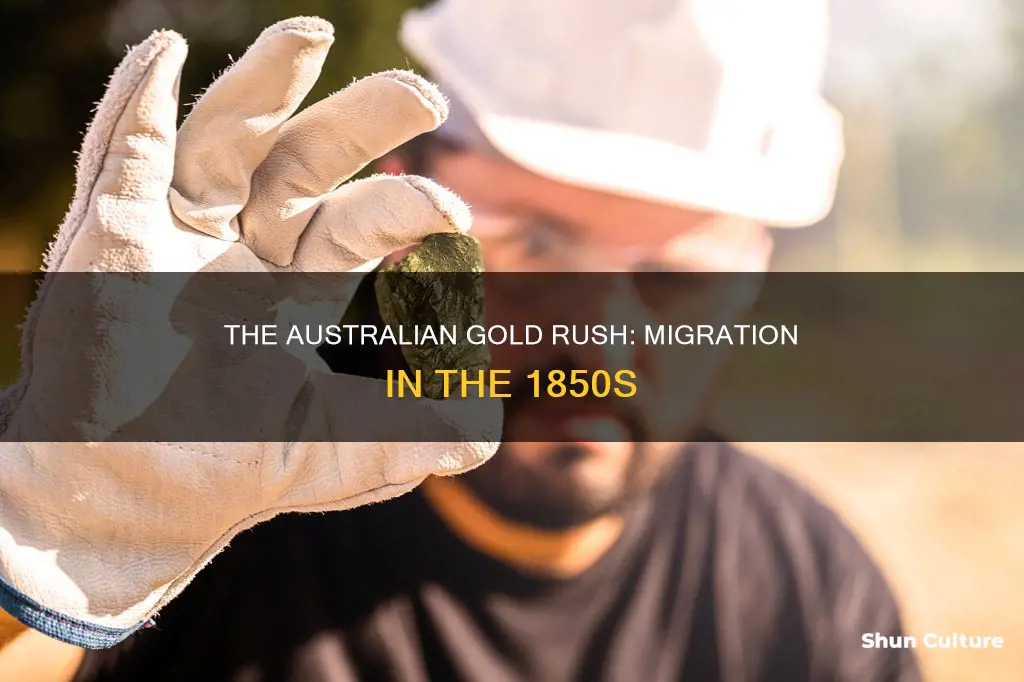why did many people migrate to australia in the 1850s