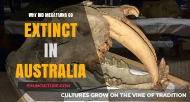 Australia's Megafauna Mystery: Unraveling the Causes of Their Extinction
