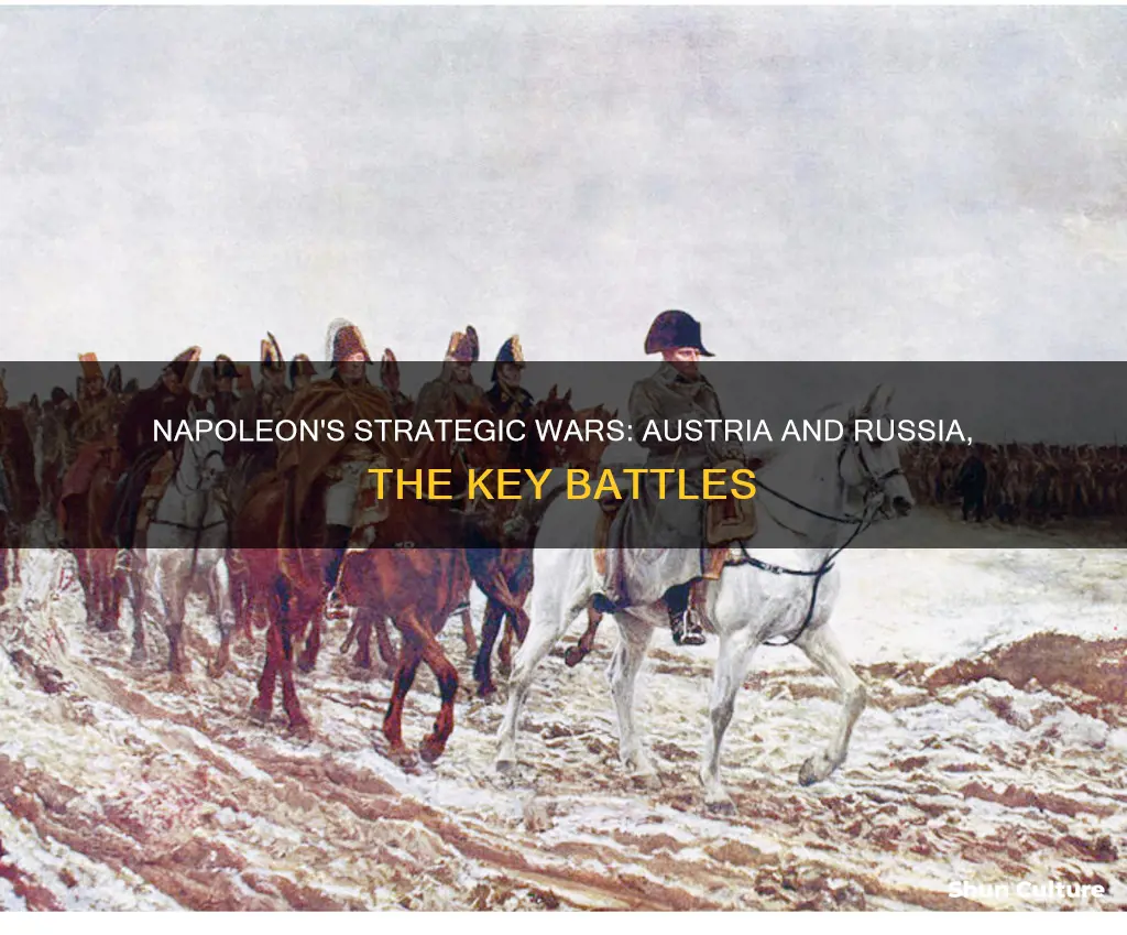 why did napoleon battle austria and russia