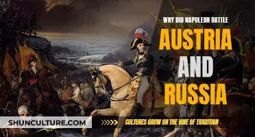 Napoleon's Battles: Austria, Russia, and Empire Ambitions