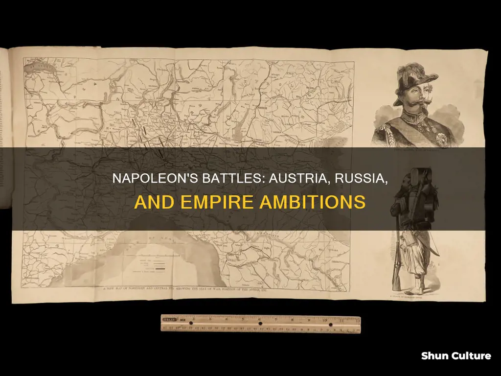 why did napoleon battle austria and russia