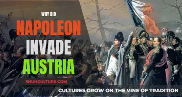 Napoleon's Austrian Invasion: Strategic Motives and Geopolitical Ambitions