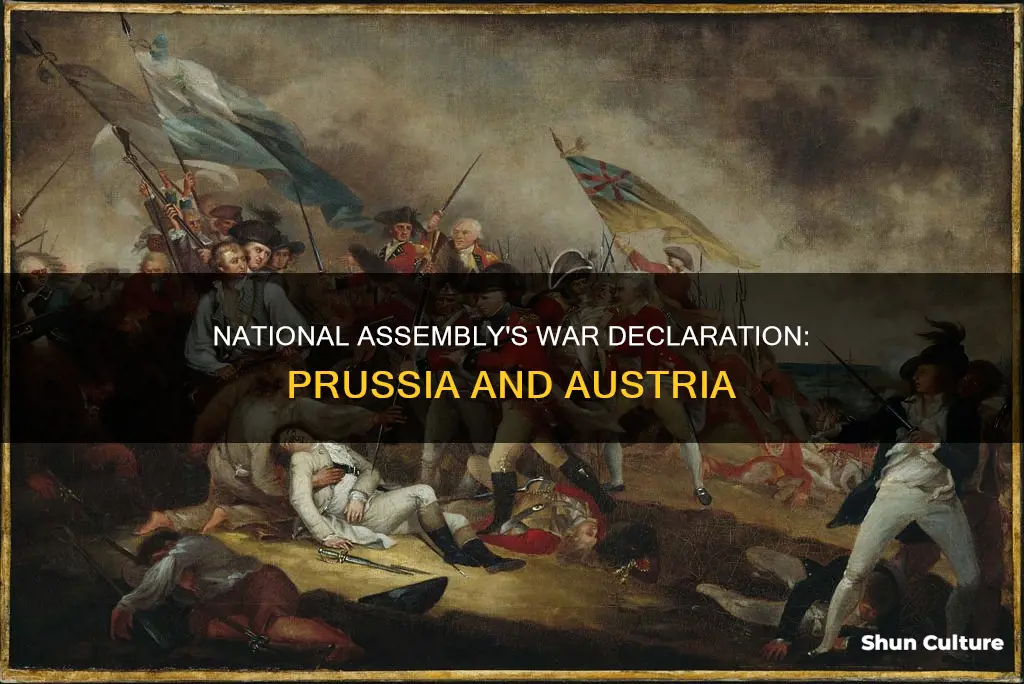 why did national assembly declared war against prussia and austria
