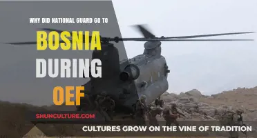 National Guard's Role in Bosnia: OEF Deployment Explained