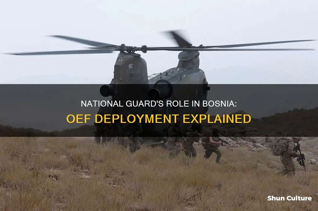 why did national guard go to bosnia during oef