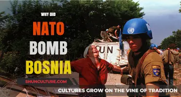 NATO's Bosnia Bombing: Understanding the Reasons Behind the Intervention